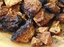 chaga medicinal mushroom