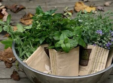 natural herbal remedies for anxiety