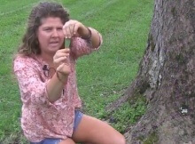 get started finding edible and medicinal plants