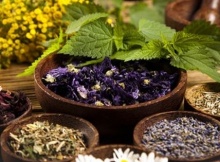 healing herbs and medicinals