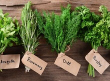 anti-inflammatory herbs