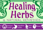 healing herbs chart