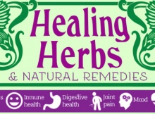 healing herbs chart